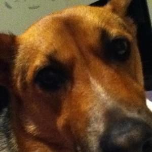 Meet your Posher, Fallon